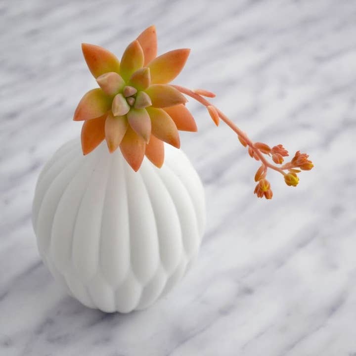 Matte white Textured Porcelain Vase - Petite for wholesale on Faire6