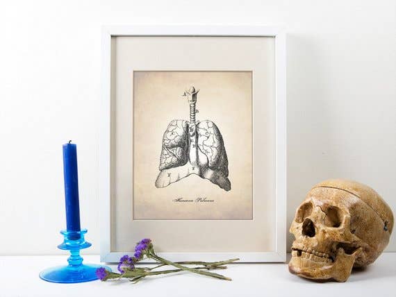 The National Anthem - Wholesale Art Print - 5” x 7” Lungs Human Anatomy Art Print1