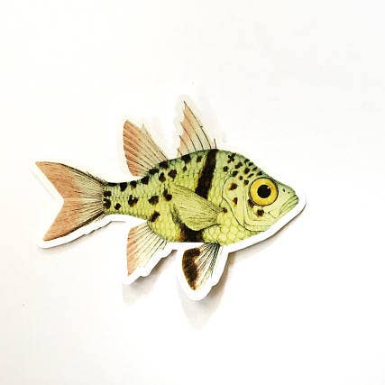 Spotted Fish Sticker for wholesale by Pergamo Paper Goods