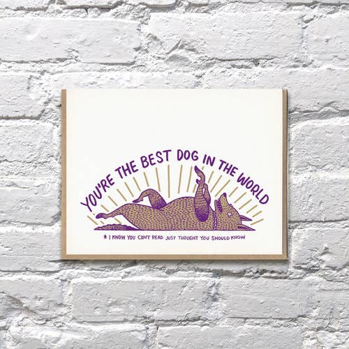 Mejor tarjeta de perro para venta al por mayor de Bench Pressed