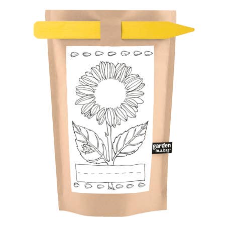 Potting Shed Creations, Ltd. - Wholesale Plant Seeds - Kids Garden in a Bag | Sunflower | Spring Gift | Best Seller4