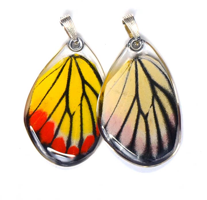 Wingstitution - Wholesale Individual Charm/Pendant - 0435 Butterfly Pendant Only, Painted Jezabel, Bottom Wing0