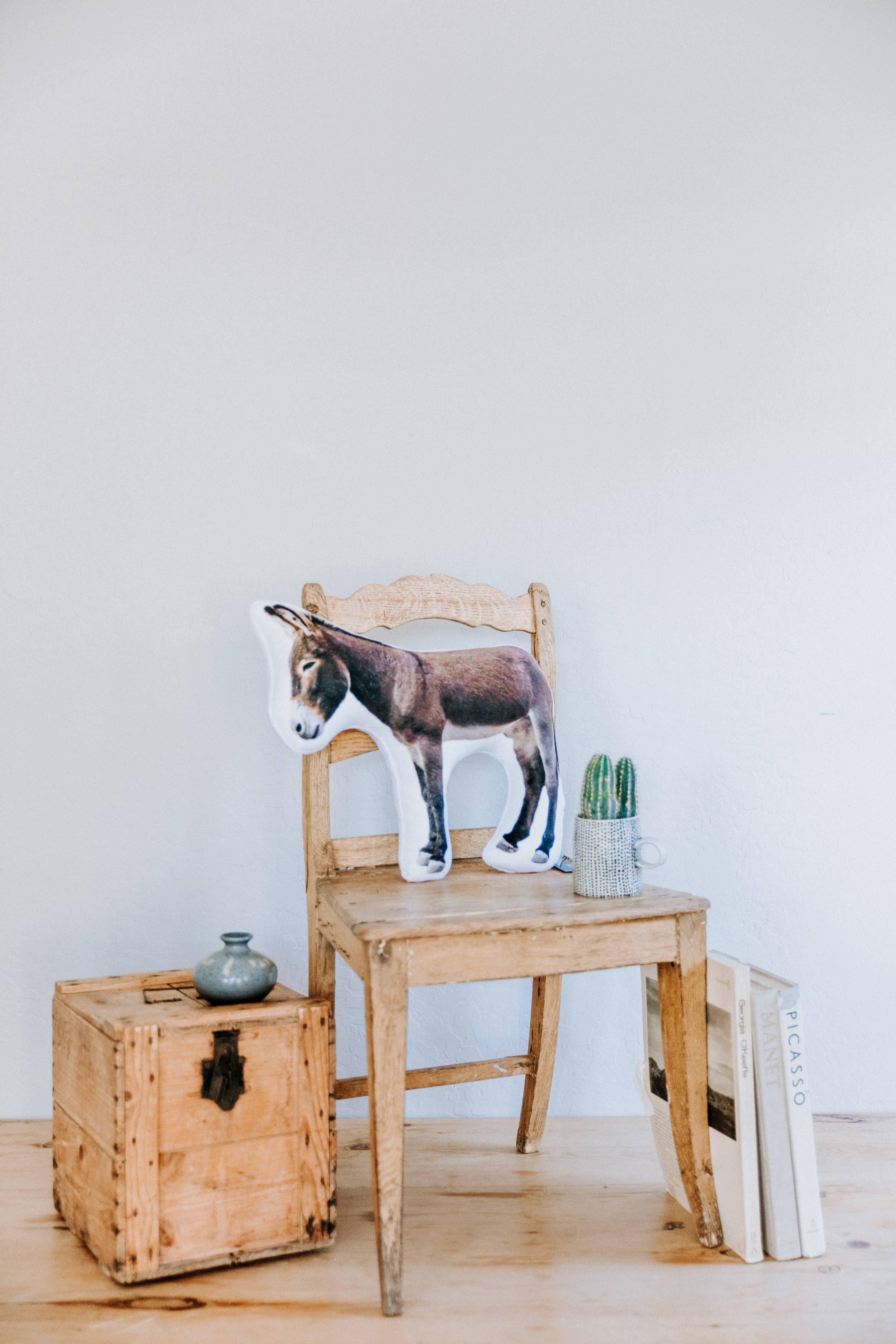 AURE - Vendita all'ingrosso Cuscini decorativi - Cuscino Arizona Wild Burro Minky, regalo di Natale1