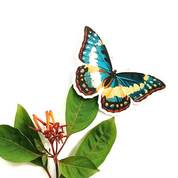 Blue Vintage Butterfly Laptop Sticker for wholesale by Pergamo Paper Goods