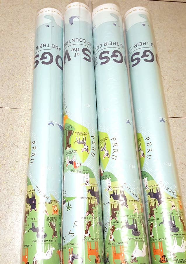 Lili Chin Art - Wholesale Poster - 36'' x 24'' Dogs of the World Map Poster6