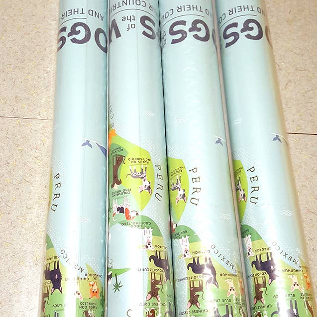 Lili Chin Art - Wholesale Poster - 36'' x 24'' Dogs of the World Map Poster6