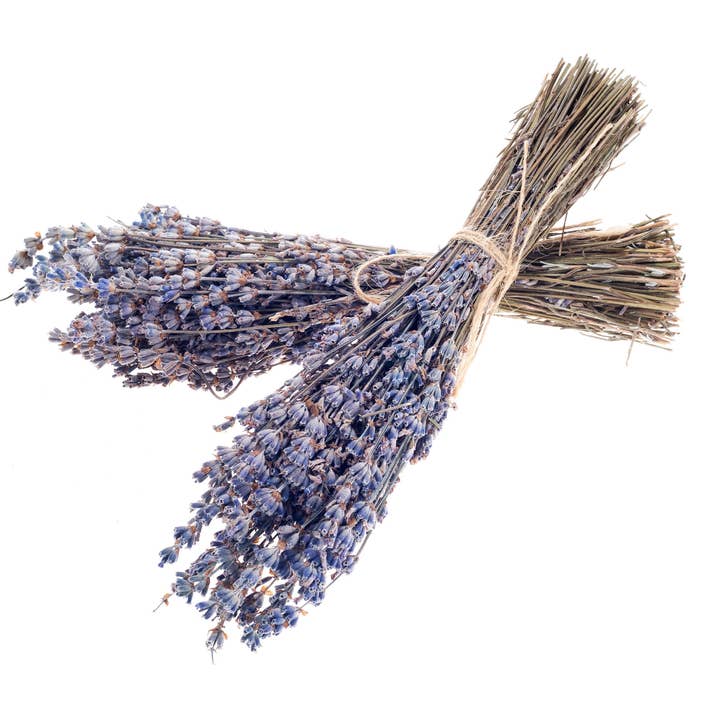 Seattle Seed Co. - Wholesale Dried/Pressed Flowers - Fragrant Dried Grosso French Lavender Flowers Home Decor
