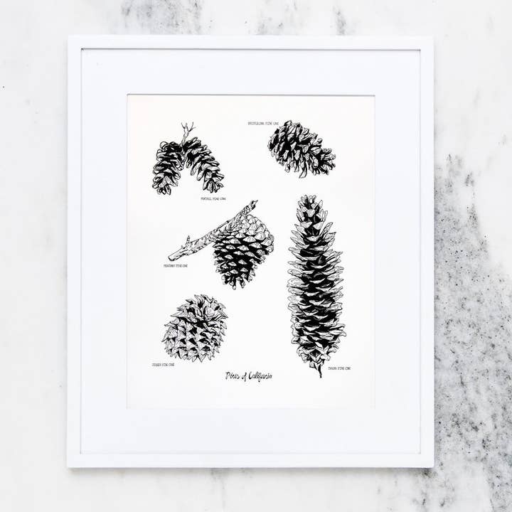 Pines Of California Art Print pour la vente par Reyn Paper Co