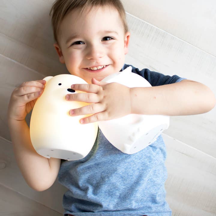 Lumieworld - Wholesale Night Light - Kids & Baby - Lumipets® LED Owl Night Light Bluetooth Speaker