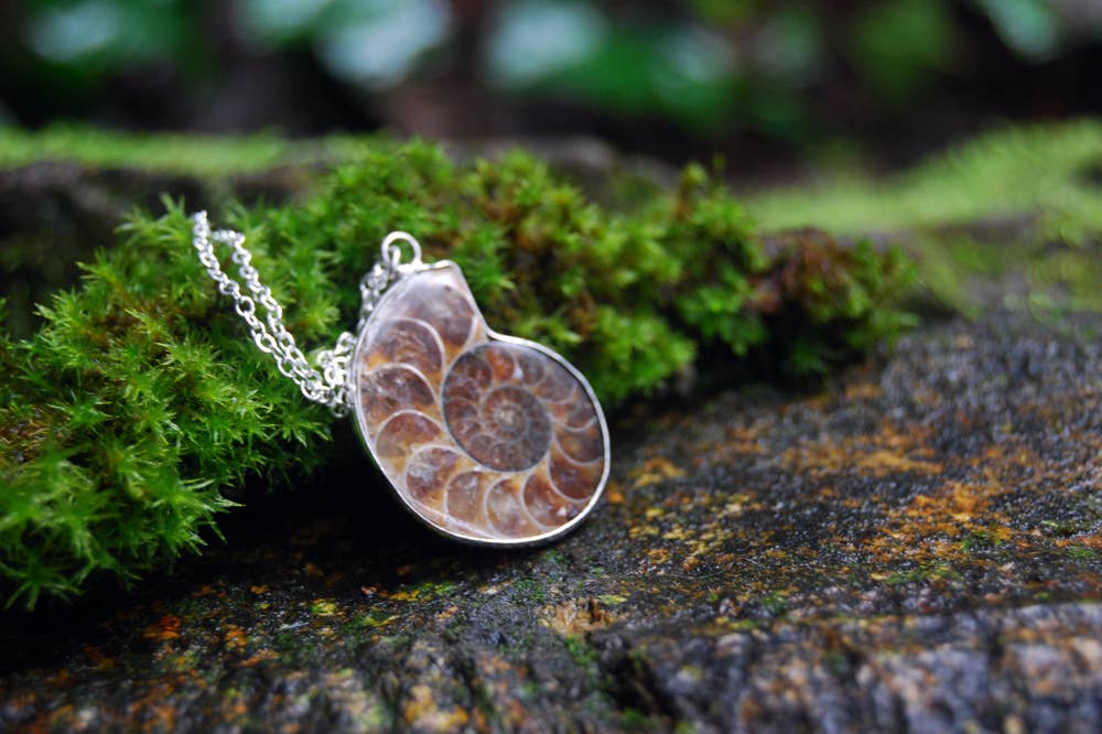 Enchanted Leaves - Wholesale Pendant/Charm Necklace - 18" Ammonite Fossil Shell Necklace2
