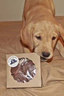 Paw Street Barkery - Wholesale Pet Treats - Dog - Single Carob Peanut Butter Cups for Bakery Case1