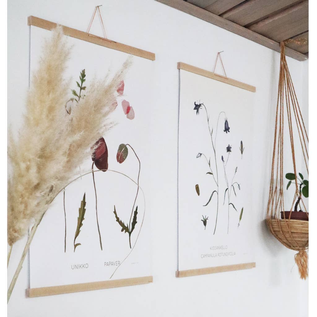 Papurino - Wholesale Art Print - Print: Harebell2