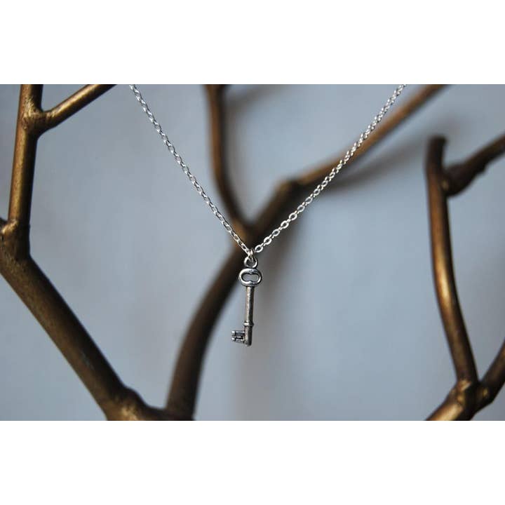 Enchanted Leaves - Wholesale Pendant/Charm Necklace - 18" Teeny Tiny Skeleton Key Necklace4