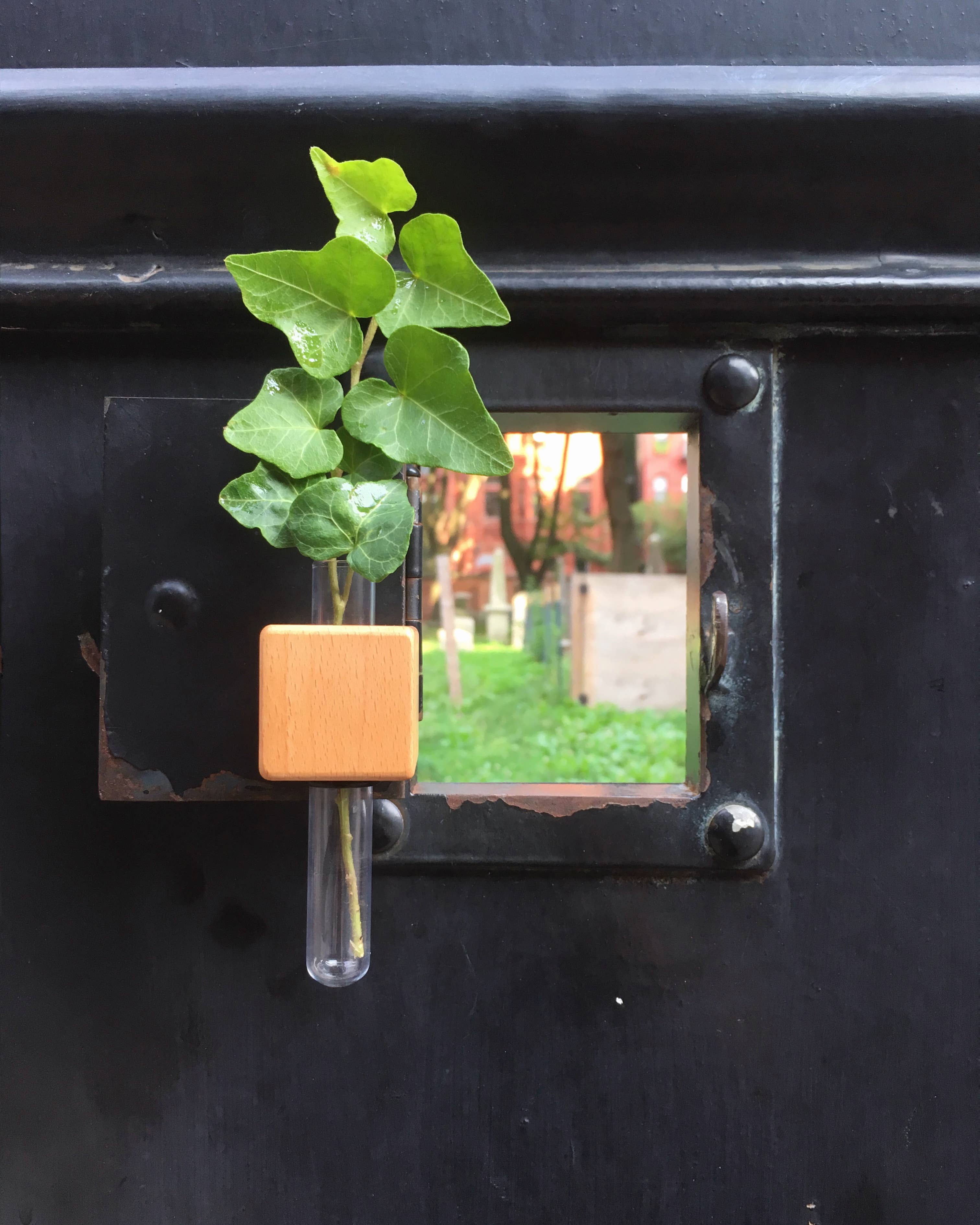 FUNNYFISH - Vente Vases - Vase cube magnétique intelligent - Clair (unité unique)3