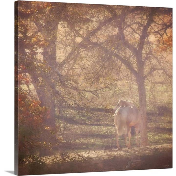 24 x 24 Solljus lugn kanvtryck för wholesale av Amanda Smith Western Art, LLC