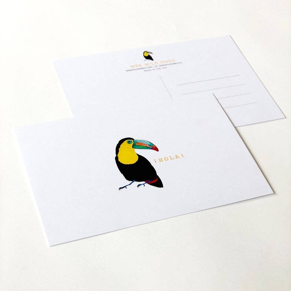 Wee Wild Ones - Wholesale Postcard Set - Toucan Postcard Pack - White1