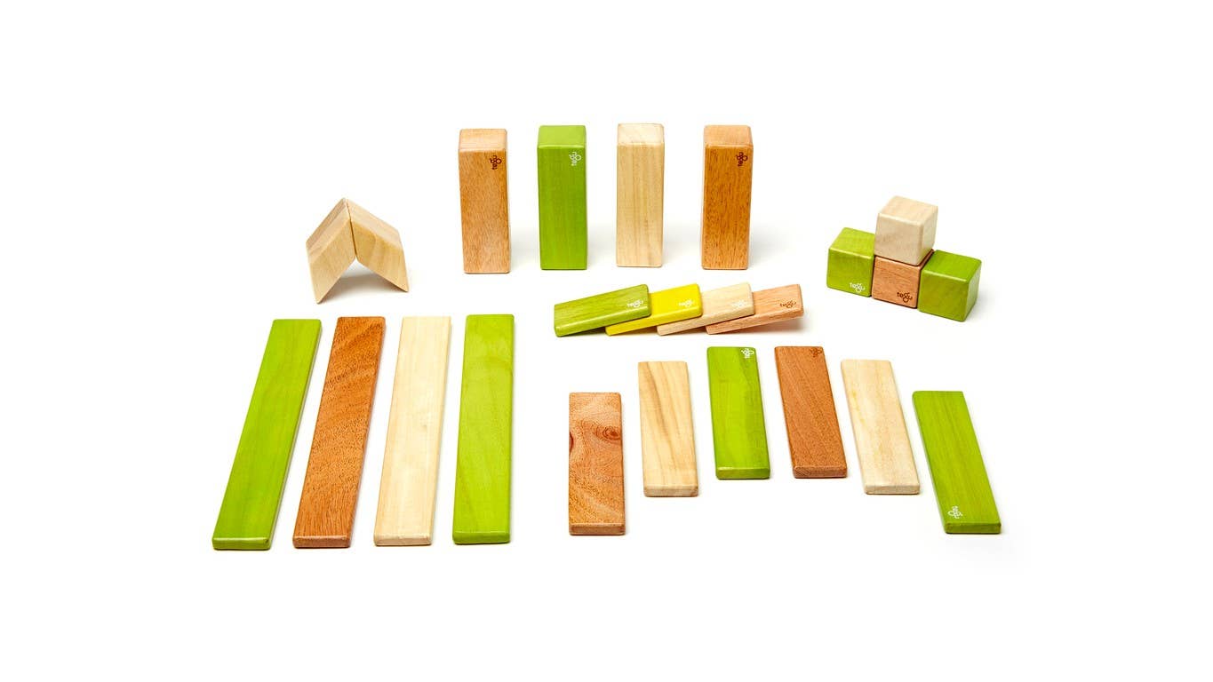 Tegu - Wholesale Building Set - Kids - 24 Piece Magnetic Wooden Block Set3