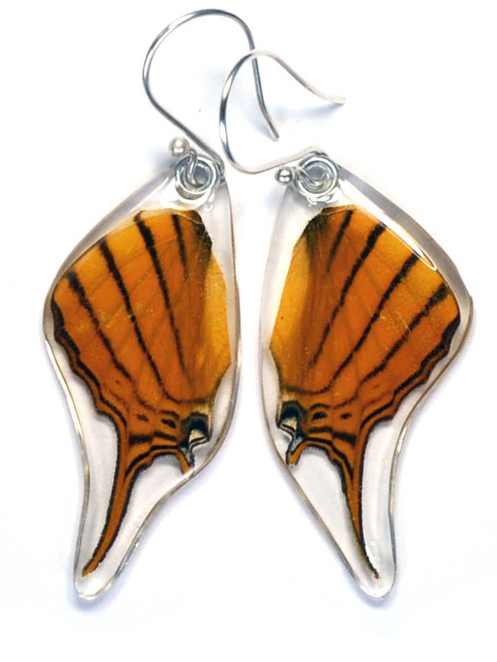 0315 Butterfly Earrings, Orange Daggerwing, Bottom Wing for wholesale by Wingstitution