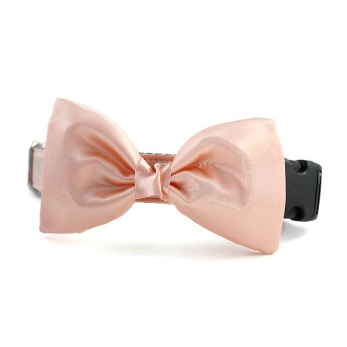 Perzik satijnen vlinderdas hondenhalsband large voor wholesale door Sophisticated Pup
