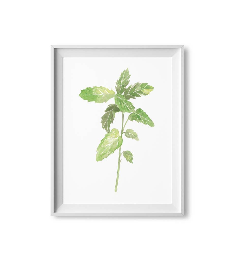Lilac Paperie - Wholesale Art Print - 8” x 10” Mint Herb Watercolor Print0