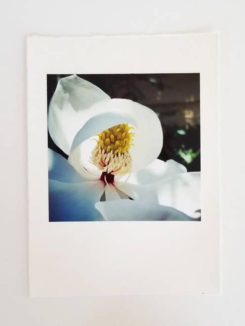 Magnolia Bloom Photo Card & Kraft Envelope for wholesale by Kellie Lynne Designs