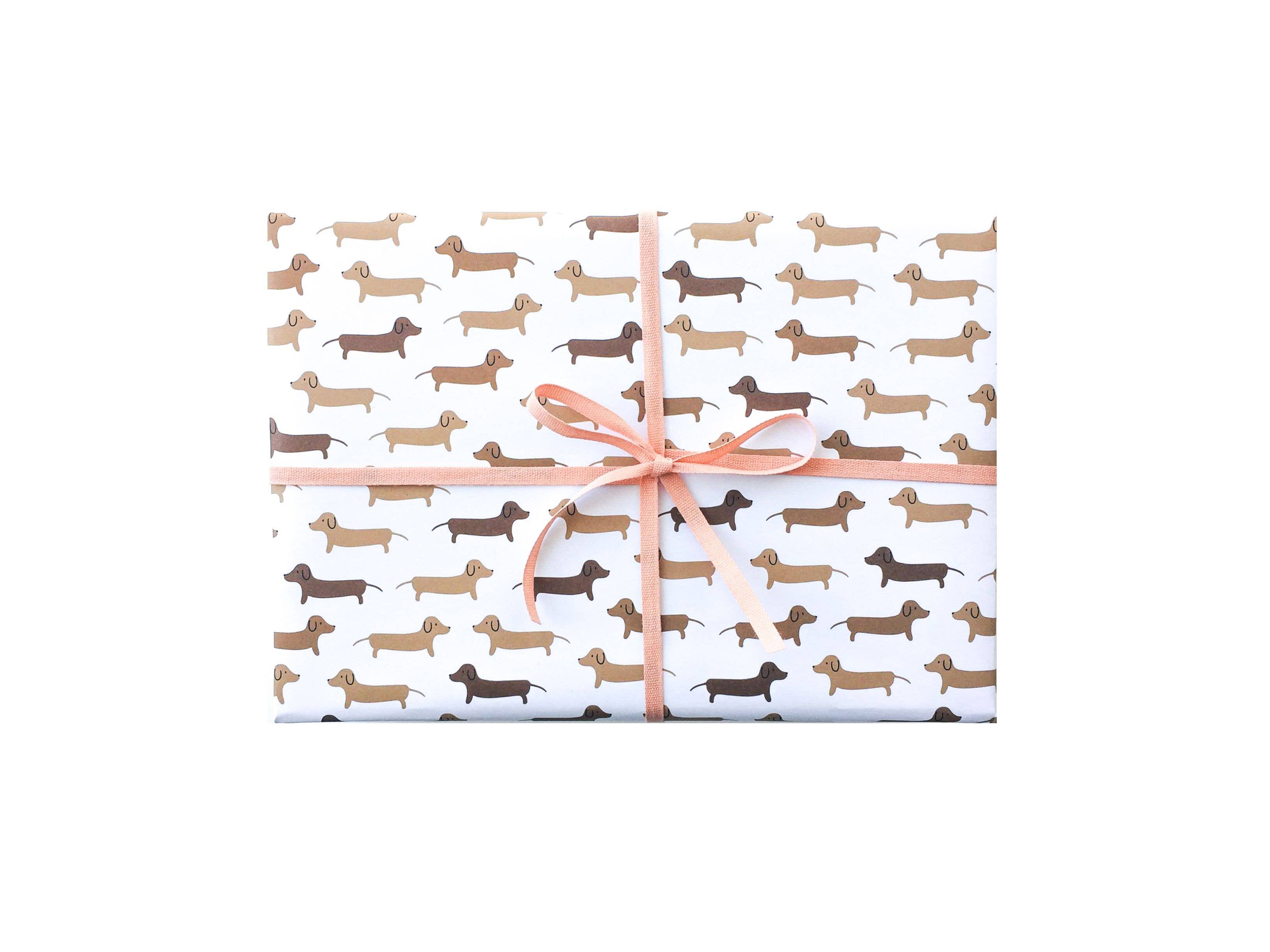 Paula & Waffle - Wholesale Wrapping Paper Roll - Dachshunds Gift Wrap - Rolls and Sheets0