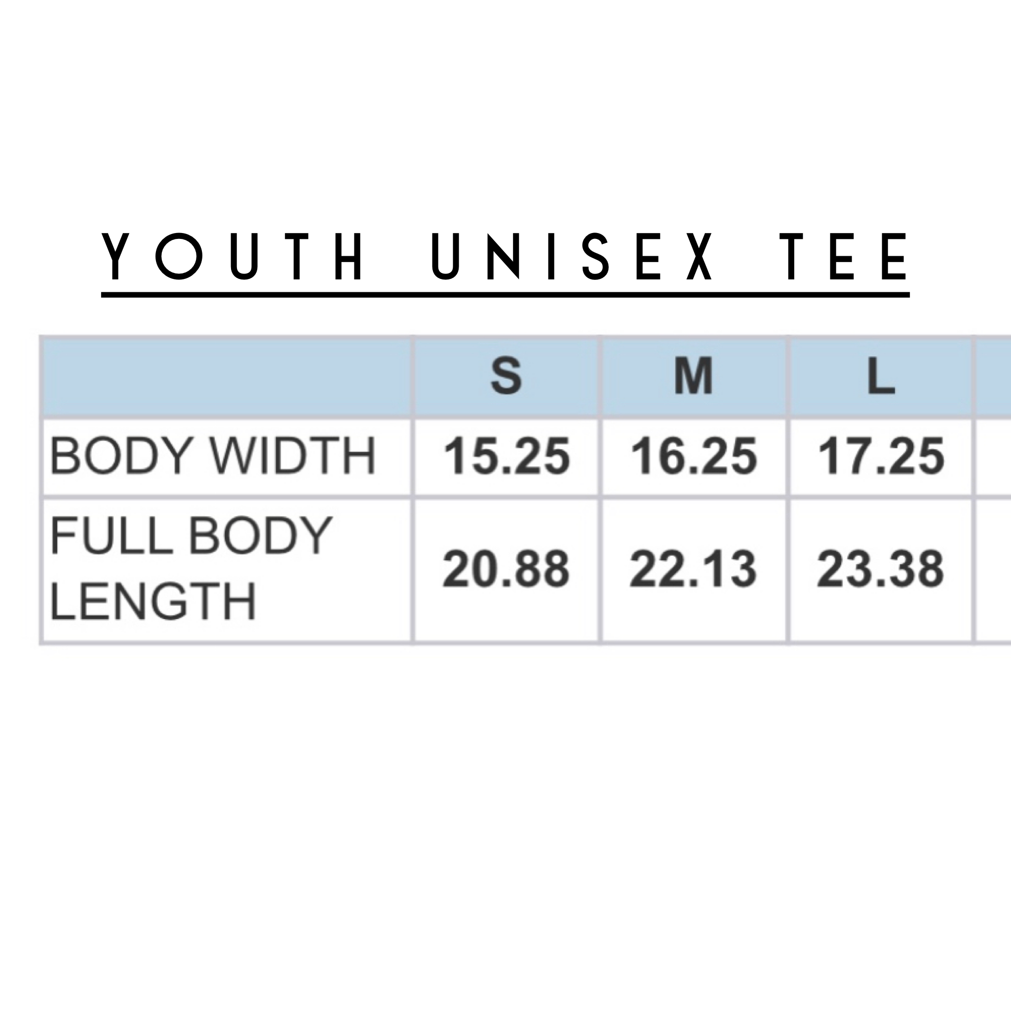 The Talking Shirt - Wholesale Screen Printed T-Shirt - Kids - Luke 1:37 "With God" Youth Unisex Tee1