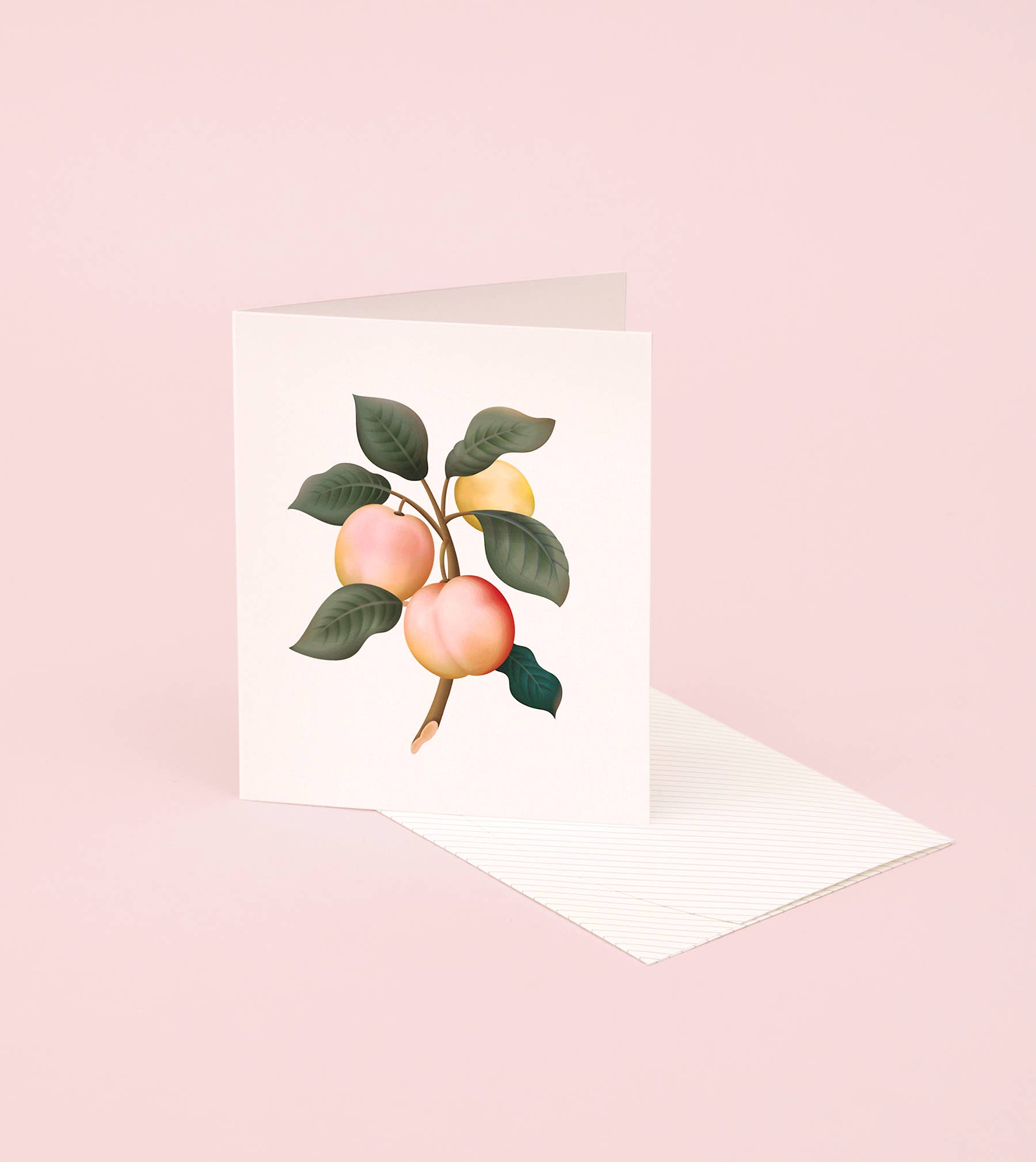 Clap Clap - Wholesale Everyday Greeting Card - Botanical Scented Card - Plum