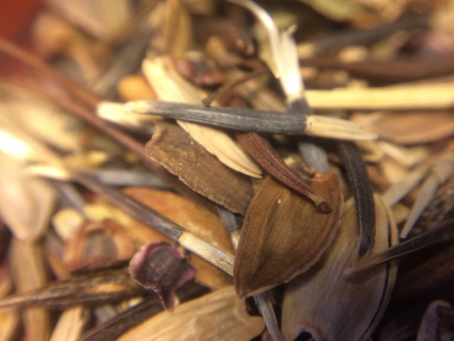 Messner Bee Farm - Wholesale Plant Seeds - Honeybee Garden Wildflower Seeds3