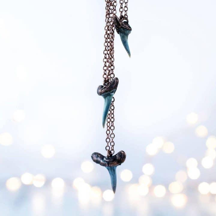 Dent fossile de Megladon Era sur chaîne en cuivre pour la vente par HAWKHOUSE