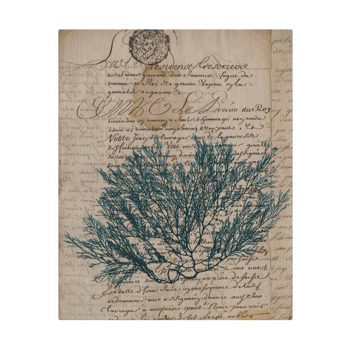 Vintage Teal Seaweed I Coastal Fabric Gallery Wrapped Art for wholesale by SPLASHWORKS