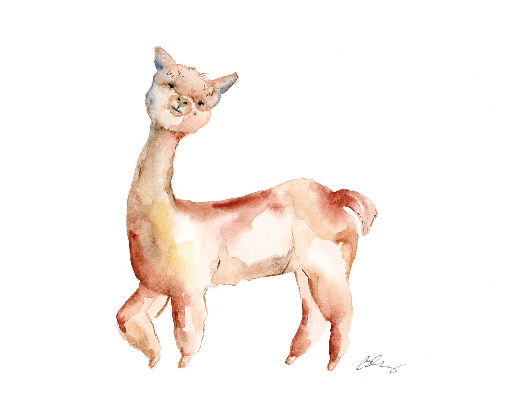 Easy Sunday Club – wholesale Art print – Gleeful Alpaca Art Print1