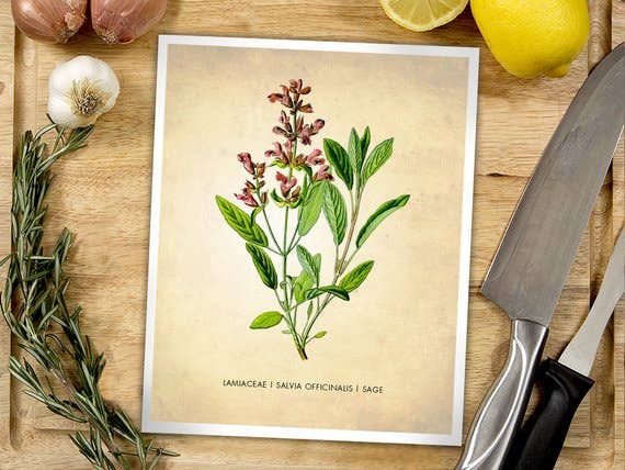 The National Anthem - Wholesale Art Print - 5” x 7” Sage Herb Art Print1