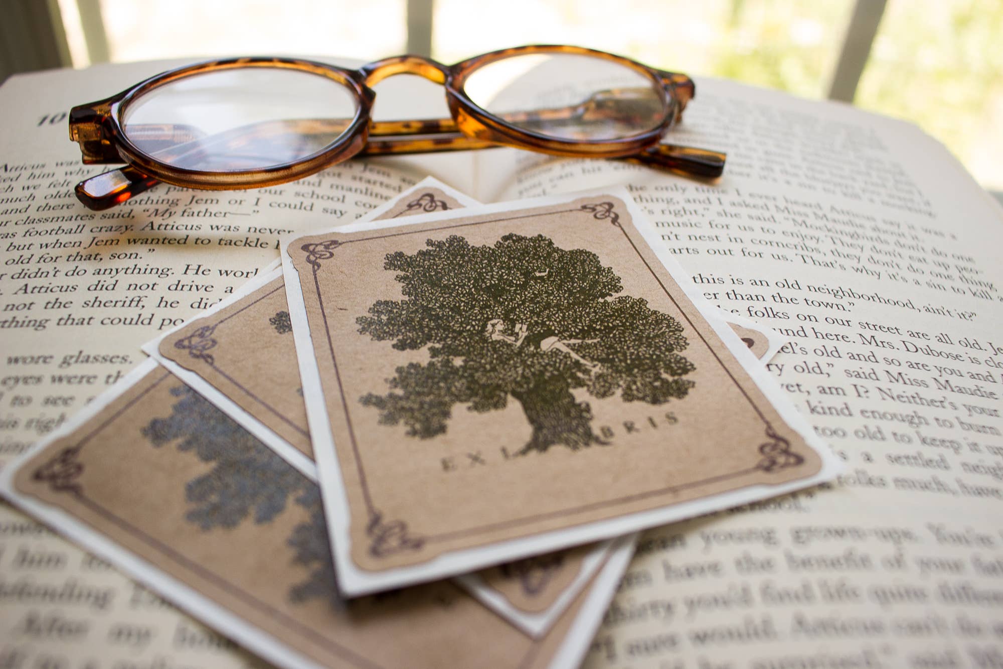 Sunshine and Ravioli - Wholesale Book Plate - Girl In Tree Bookplates3