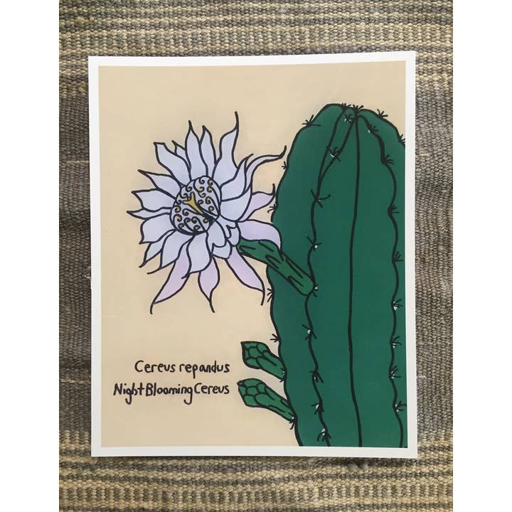 Sonoran Witch Boy - Wholesale Art Print - Cereus Repandus