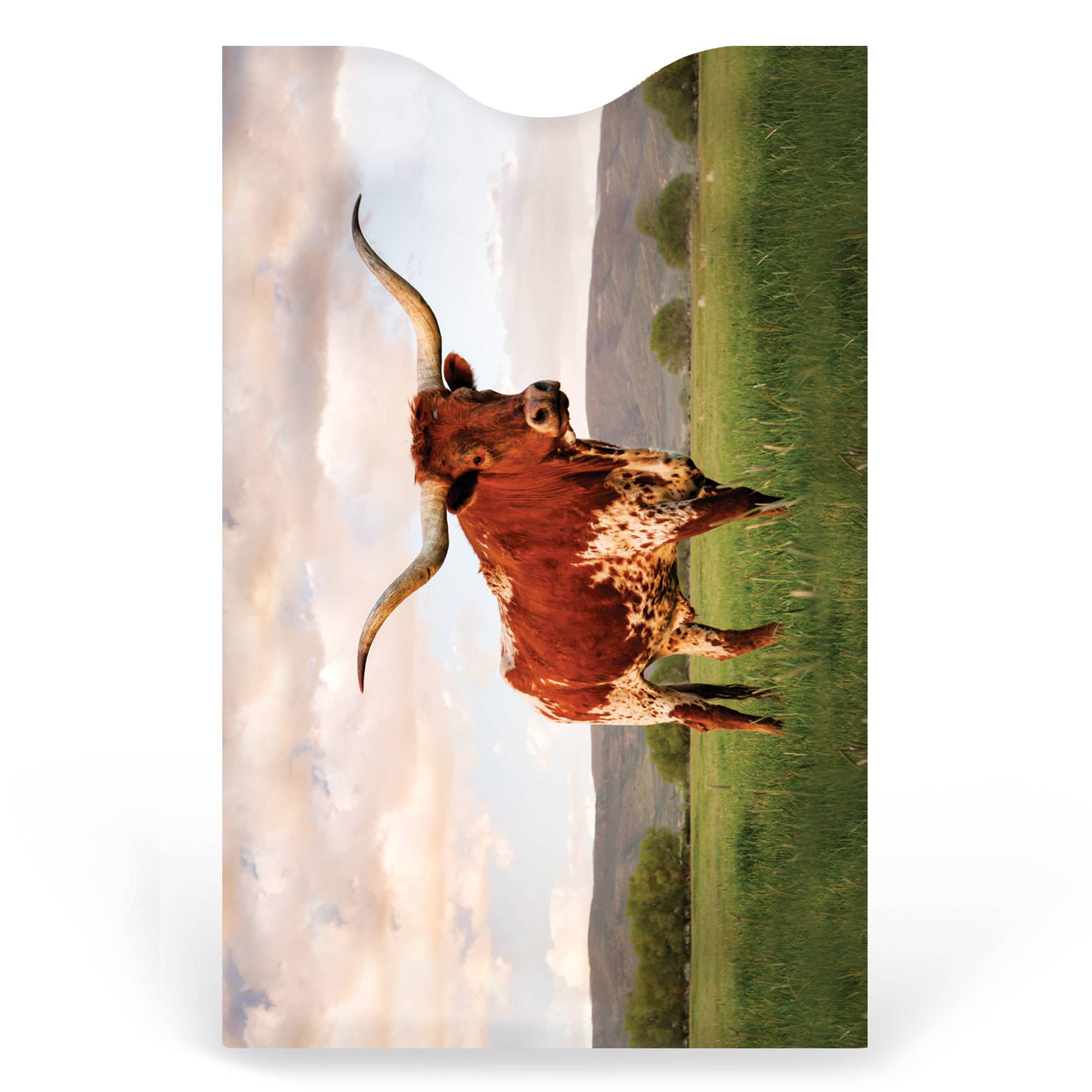 Monarque - Vendita all'ingrosso Porta carte - Unisex - Set di 6 scomparti per carte di credito Texas2