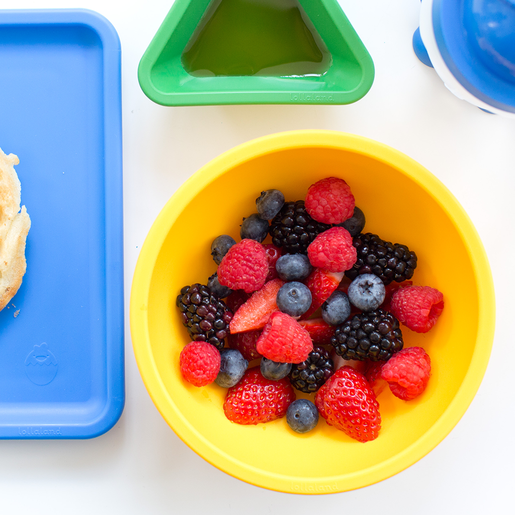 Lollaland - Wholesale Bowl - Kids & Baby - Lollaland Mealtime Bowl - Sold Individually10