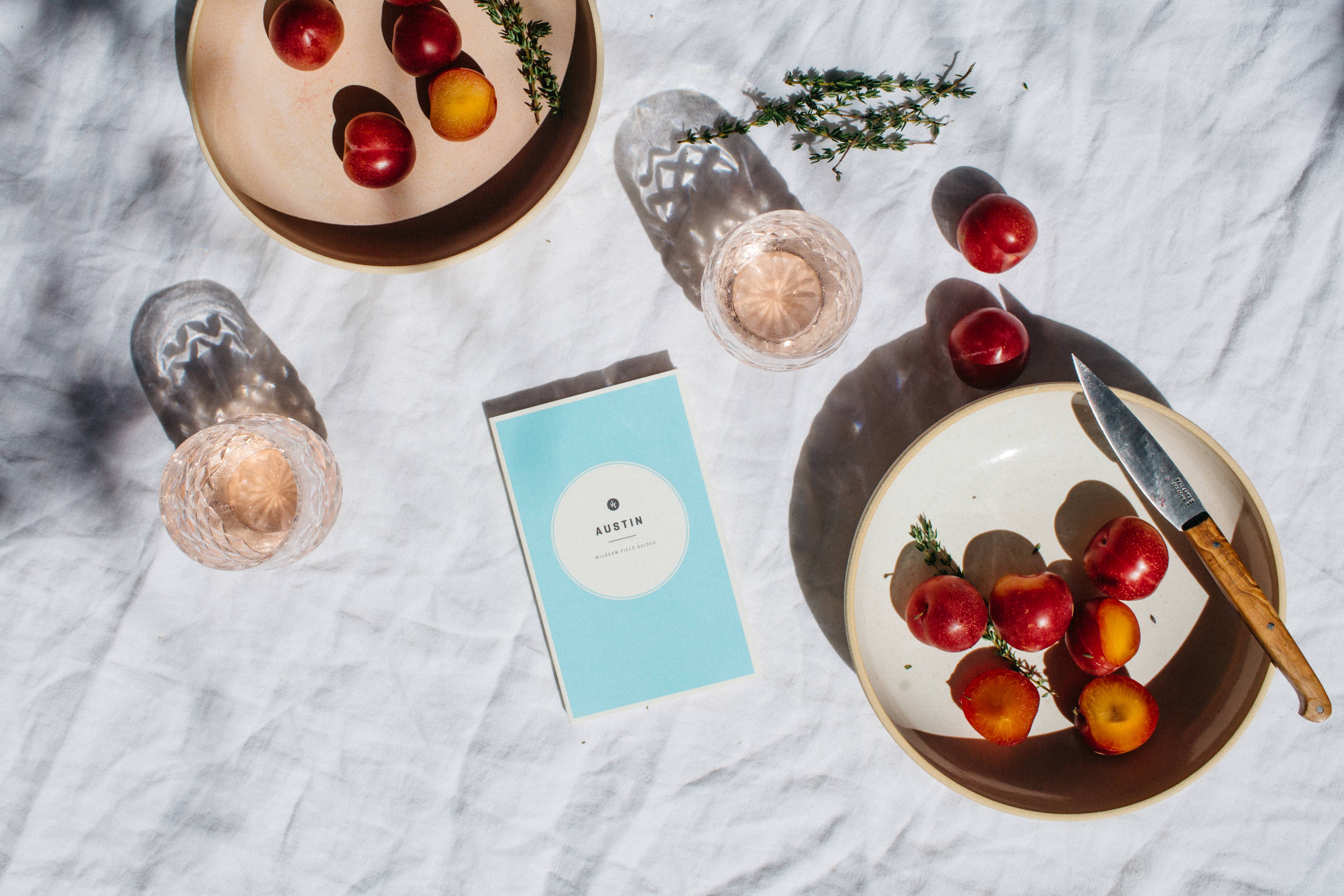 Wildsam Field Guides - Wholesale Travel - Austin Field Guide Book3