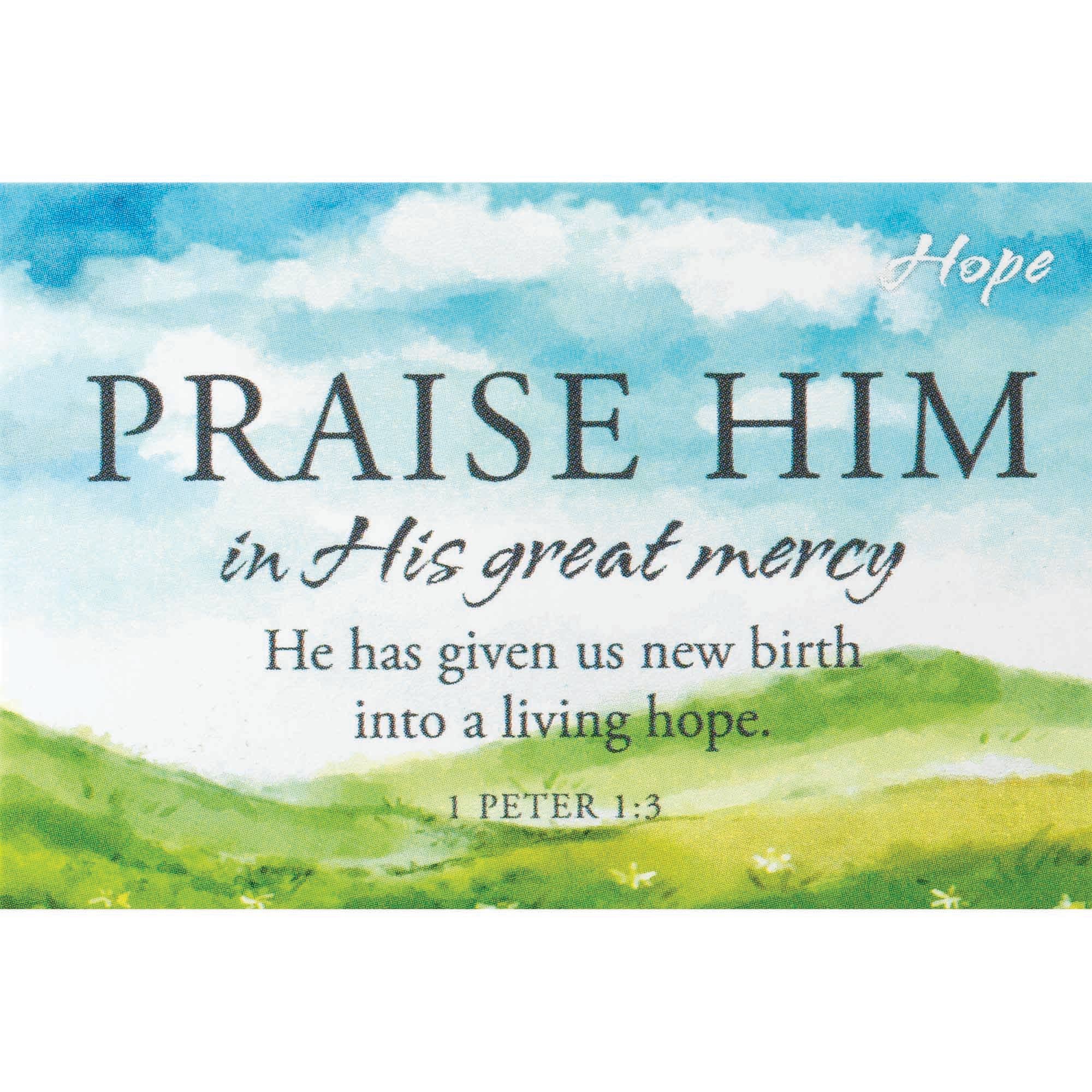 Dicksons – Marcador por atacado – Bkm Ibb Hope 1 Pedro 1:3 2X30