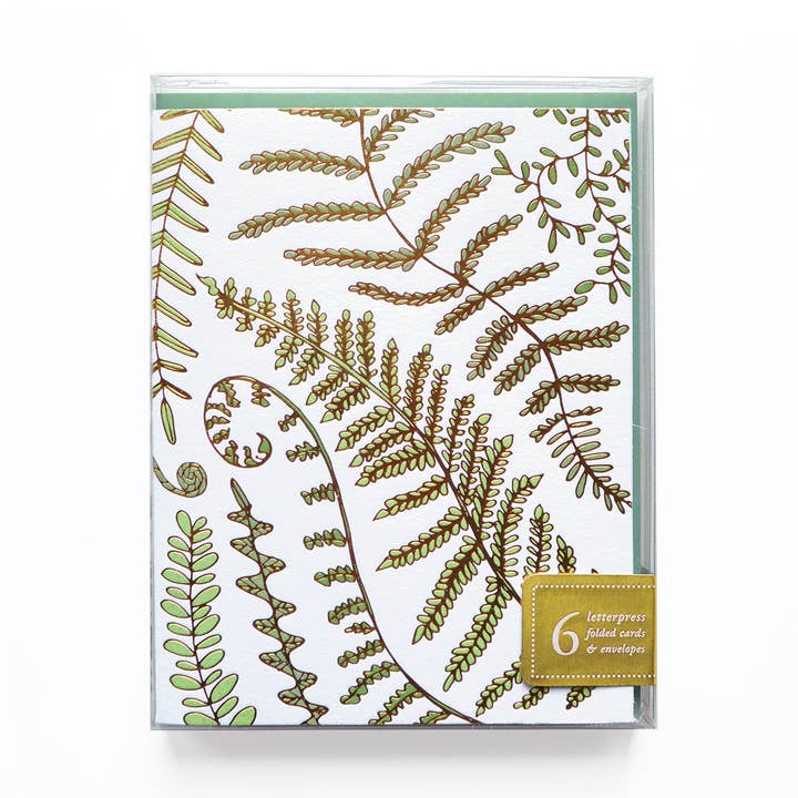 Fern Boxed Notes | Set of 6 for wholesale by Wild Ink Press