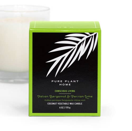 Confezione regalo candela in vetro italiano bergamotto persiano calce e cera di cocco con veri oli essenziali per la vendita all'ingrosso da parte di Pure Plant Home