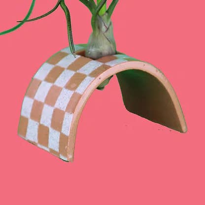 Speckle Check Air Pflanzenbogen für den Großhandel von Finki