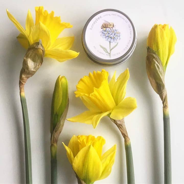 Potting Shed Creations, Ltd. - Wholesale Plant Seeds - Garden Sprinkles Honeybee | Best Seller | Spring Gift3