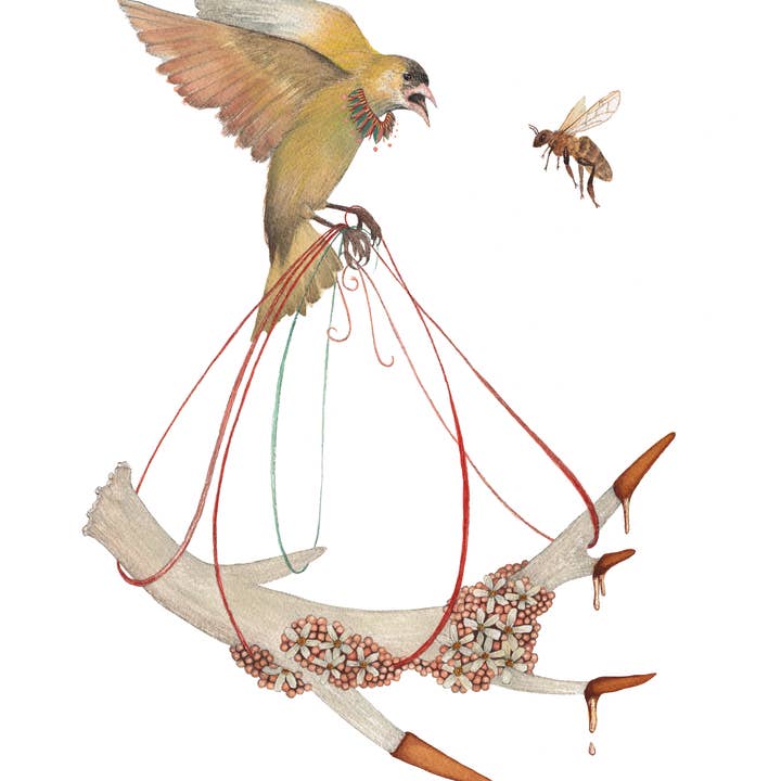 8"x10" Print - Honey I - Collector for wholesale by Polanshek of the Hills