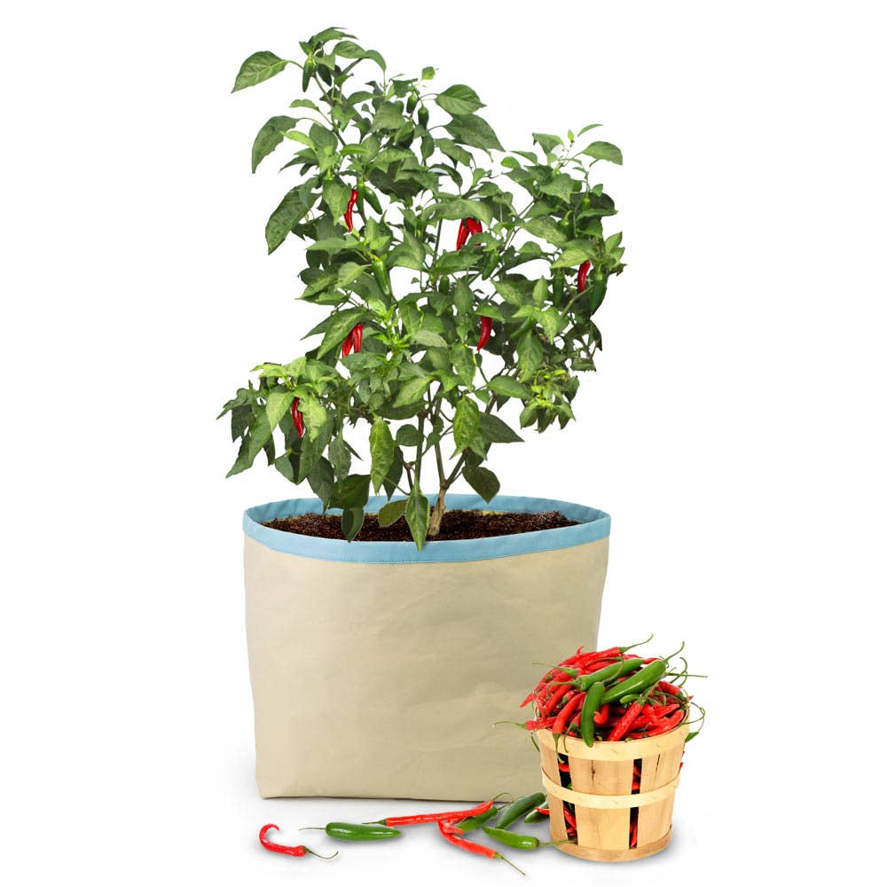 natural blue piping HGG™ Harvest Growing Bags™ All Purpose for wholesale on Faire0