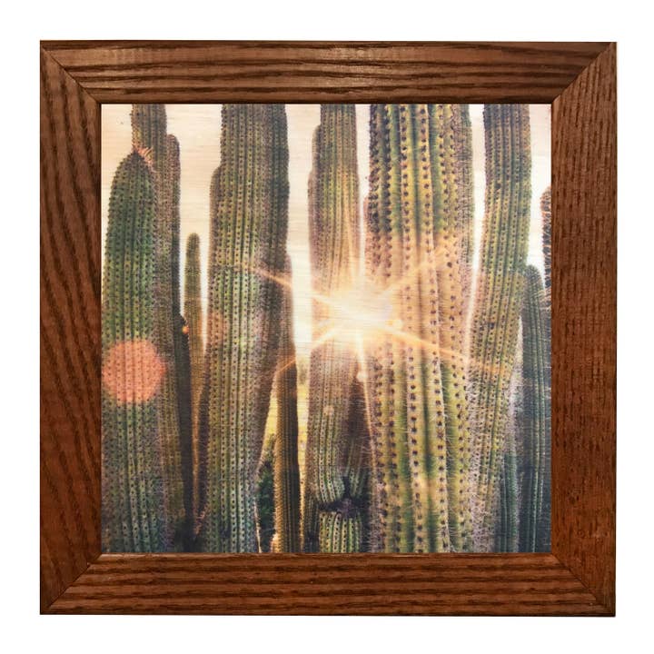 Lancaster Wood Prints - Wholesale Art Print - 5x5 Cactus Flare Wood Print