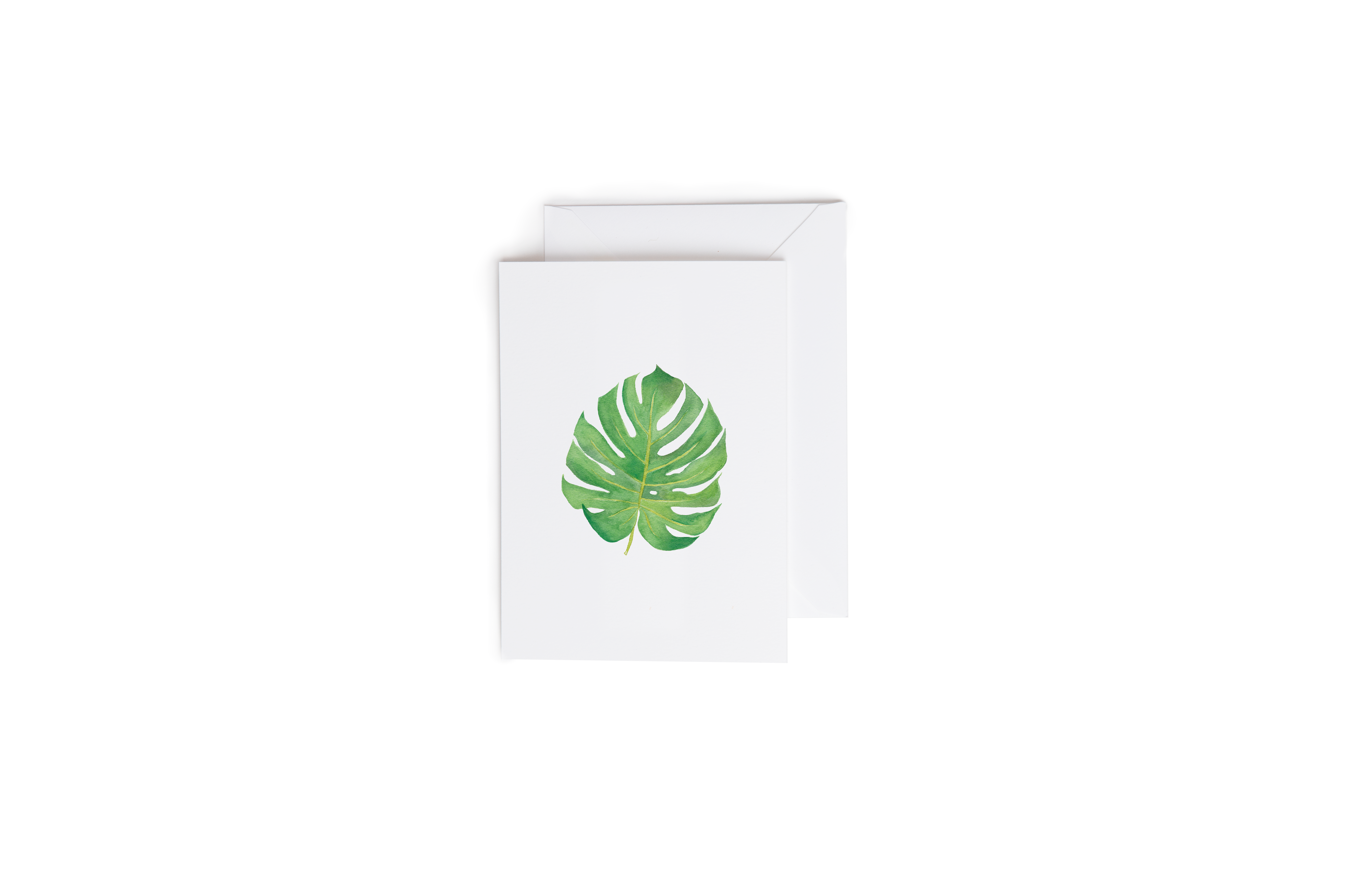 Good Sheila - Wholesale Everyday Greeting Card - Monstera Card1