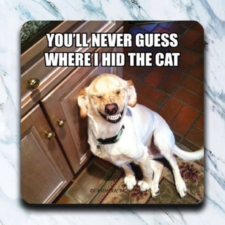 You'll Never Guess Coaster for wholesale by High Cotton Gifts