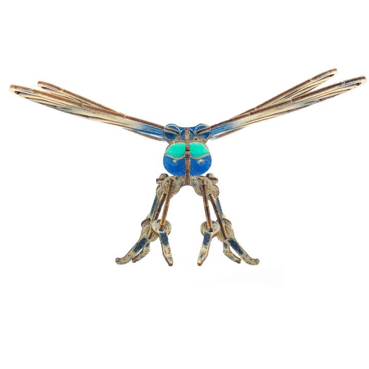 JCR WORK - Wholesale DIY Craft Kit - ARTHROPODA : DRAGONFLY1