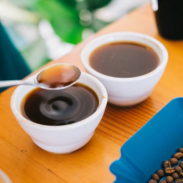 Blueprint Seasonal House Coffee for wholesale by Compelling Coffee